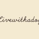 견생공방 이미지