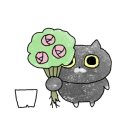 아베크슈