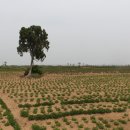 아차도민박 이미지