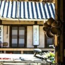 고향에봄 이미지