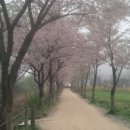 삼익1공인중개사사무소 이미지