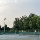 성저테니스장 이미지