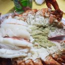 갈매기 마을 이미지