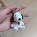 카페웜앤코지 | 6월을 가져왔어