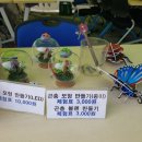 우포 잠자리 나라 이미지