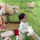 오수영농장 Daum카페