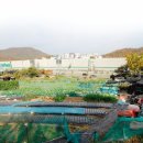 서초서리풀공인중개사사무소 이미지