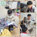 정우세탁소 이미지