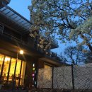 목련나무집 이미지