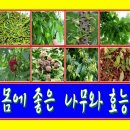 구구팔팔추어탕 이미지