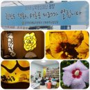 등대마을지역아동센터 이미지