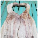 세기문구사