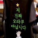 그루밍캣 압구정점 | 고양이가 생겼어요. (내 고양이 아님)