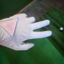 스킨테크 | 골프용품 테크스킨 내돈내산 재구매 후기 골프장갑 파우치 클리너타올 추천