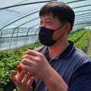 김성일농장 이미지