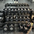 Gym moment 이미지