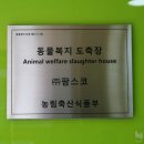부영선진자동차공업사(주) | { 부영미트 일상 } 팜스코(하이포크) 음성 육가공장 방문기 l 돼지의 특성 l 동물복지