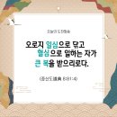 일심 이미지