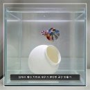 달품 | 달항아리 수족관 장식 후기와 베타 치어 은신처 활용법 추천