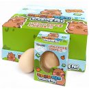 학생문방구 | 초등학생 인기 장난감! 무인문방구에서 산 카피바라 키우기