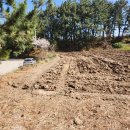 바닷가펜션 이미지