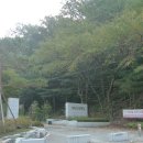 나무호텔 이미지