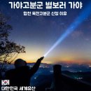 성내길 | 가야고분군 별보러 가야 예약 성공 2026 세계유산축전 합천 옥전고분군 예약 이유