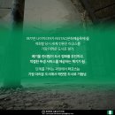깨끗한도시주 이미지