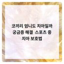 새로이치과의원 이미지