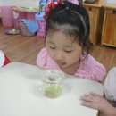 소정몬테소리 이미지