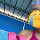 삼원초등학교 | [수영복]수린이용 수영복 추천 나이키 패스트백 파이어핑크 34 실착후기