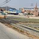 대영고시원