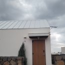 고양이 수염 | 제주도 동쪽 구좌 내가 그리던 감성 숙소 "고양이수염" 내돈내산 후기