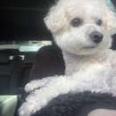 영도동물병원 이미지