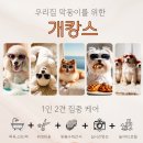 몽호텔 이미지