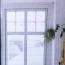라곰라이프