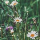 노후 건강 설계 교육 이미지