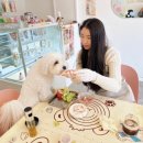 다정하고 맛있개 이미지