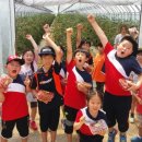 맹동농장 이미지