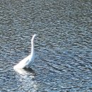 남순천의원 이미지