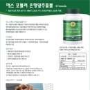 에스빔