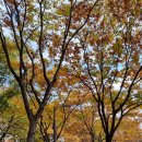 등촌근린공원 이미지