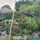 인동초민박 이미지