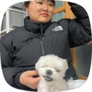 휴엔병원 | 12月