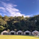 개차반캠핑장 이미지