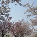 원신공원 이미지