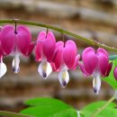 가정복지행복센터1 이미지