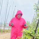 마음드리 이미지