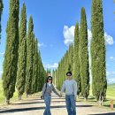 하늘아래민박 | 이탈리아 여행 - 토스카나 포토스팟, 발도르차 평원, 농가민박 추천, 피엔차 맛집, 베니스 카페추천