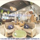 호텔오아시스 | 끄라비 여행객 필독 코코텔 크라비 오아시스 호텔 추천 &amp; 솔직 후기